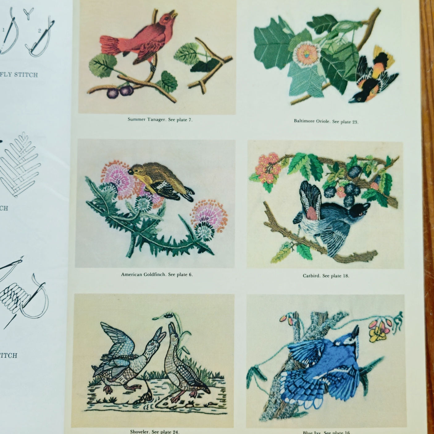 Vintage 1979 Dover Audubon Birds Iron On Transfer Patterns Embroidery Book