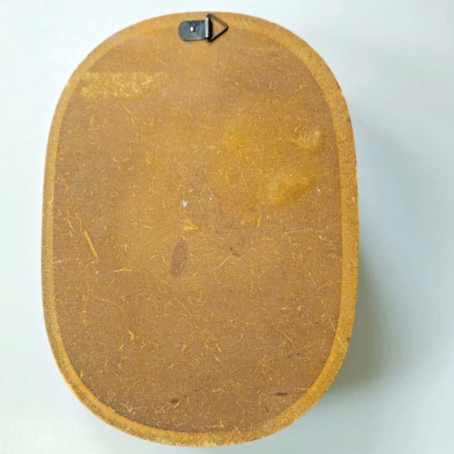 Vintage 1970s Owl Wall Plaque | 3D Resin Owl on Hardboard | MCM Autumn Kitsh