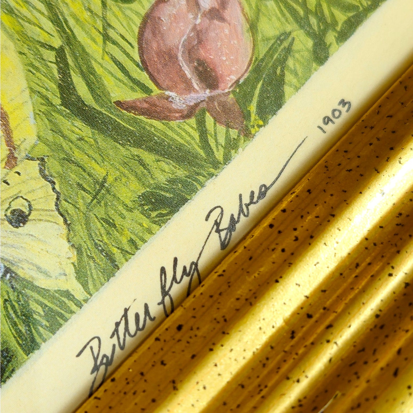 1903 “Butterfly Babes” Framed Fairy Print