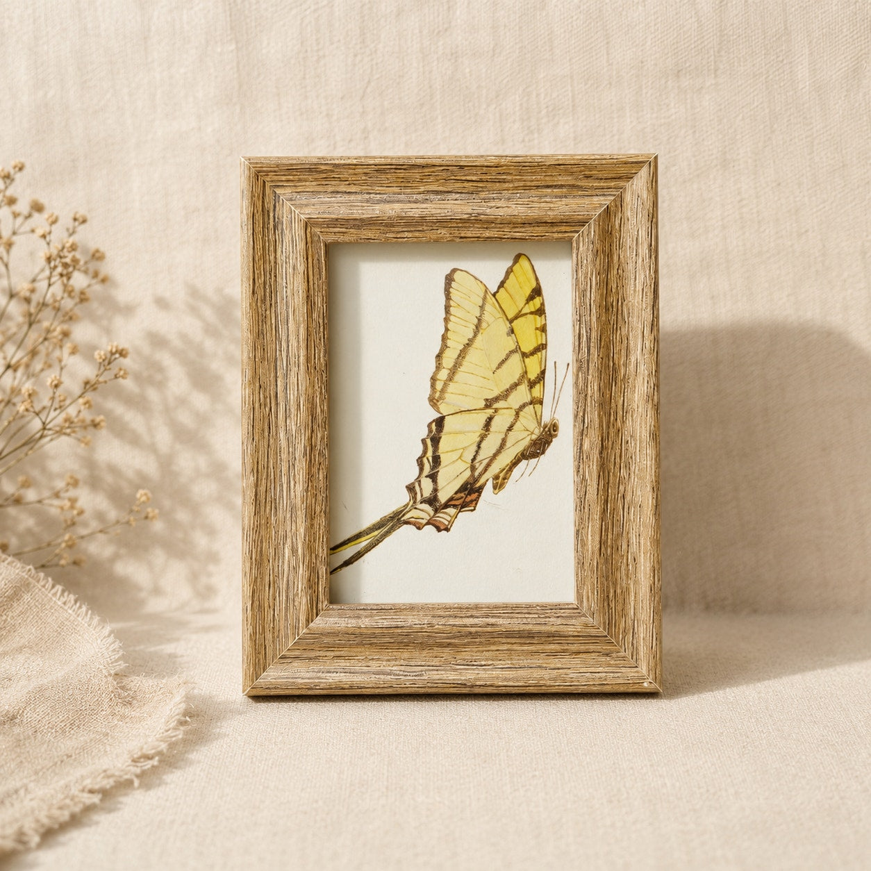 Vintage 1990s Maryjo Koch Yellow Giant Swallowtail Butterfly Mini Framed Print