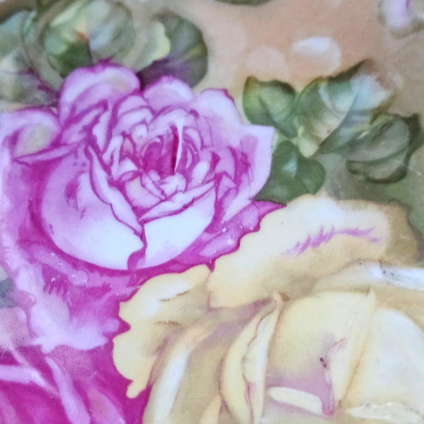 Antique Kuno Steinmann Tiefenfurt Porcelain Cake Plate | Roses à la Paris