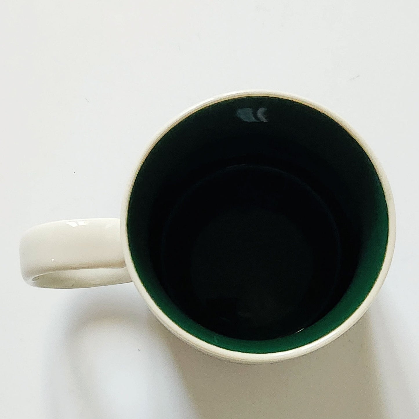 RARE Starbucks Florida Mug – 16 oz – Alligator & Heron Everglades Landscape – Collectible State Series
