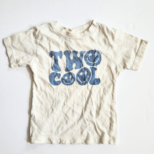 Bella + Canvas Kids Two Cool Beige & Blue Toddler T-shirt Size 2T