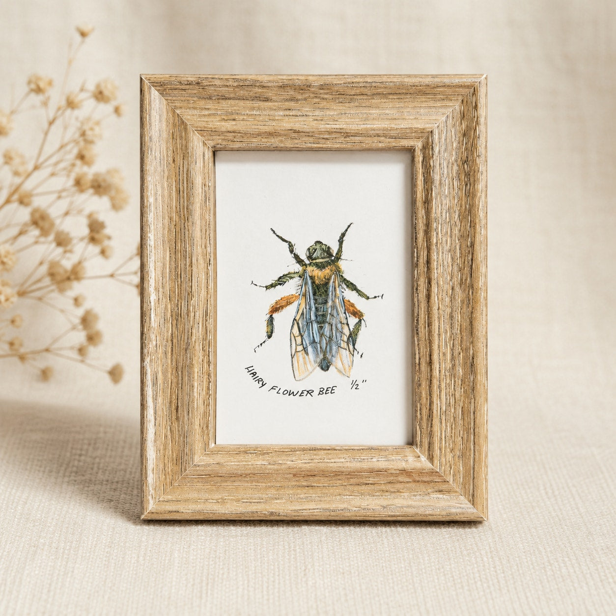 Vintage 1990s Maryjo Koch Hairy Flower Bee Print | Framed Mini Insect Nature Art