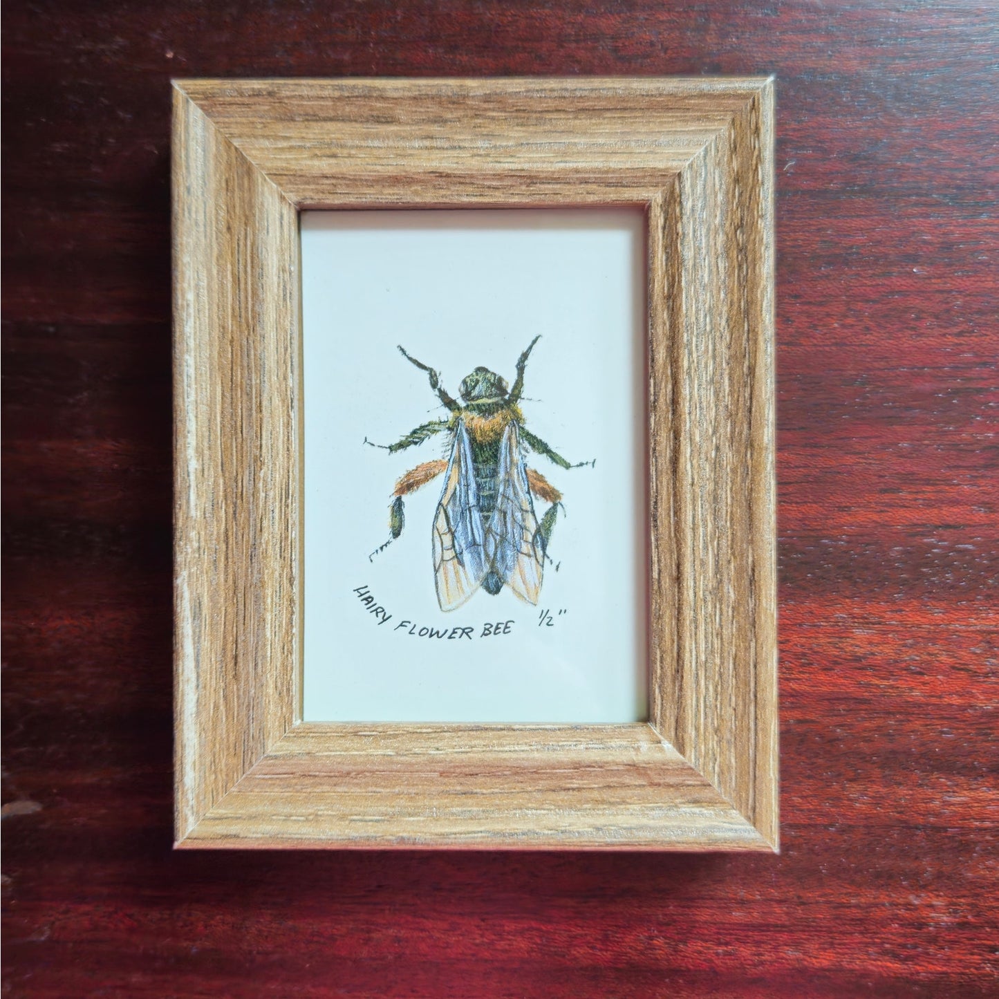 Vintage 1990s Maryjo Koch Hairy Flower Bee Print | Framed Mini Insect Nature Art