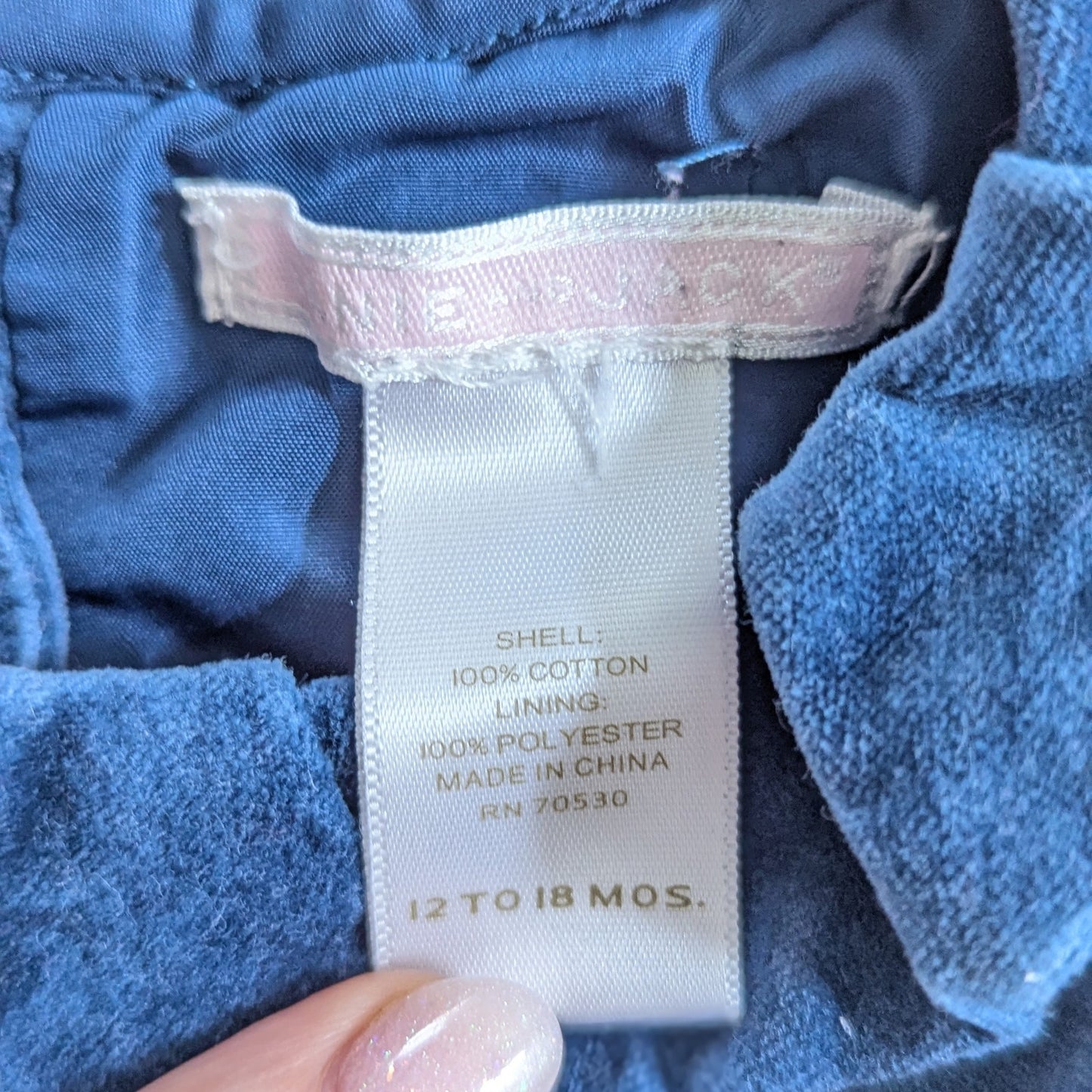 Janie and Jack Sapphire Blue Velveteen Pleated Dress | Luxe Winter Line | Baby Girl 12-18M