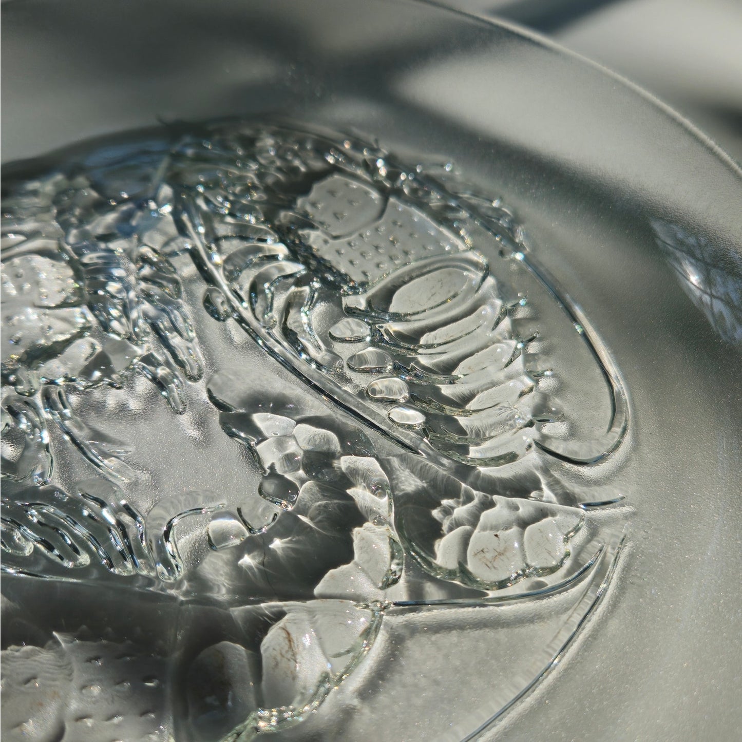 Vintage Pasari 9" Clear Pressed Glass Plate | 1970s Shrimp Lobster Crawfish