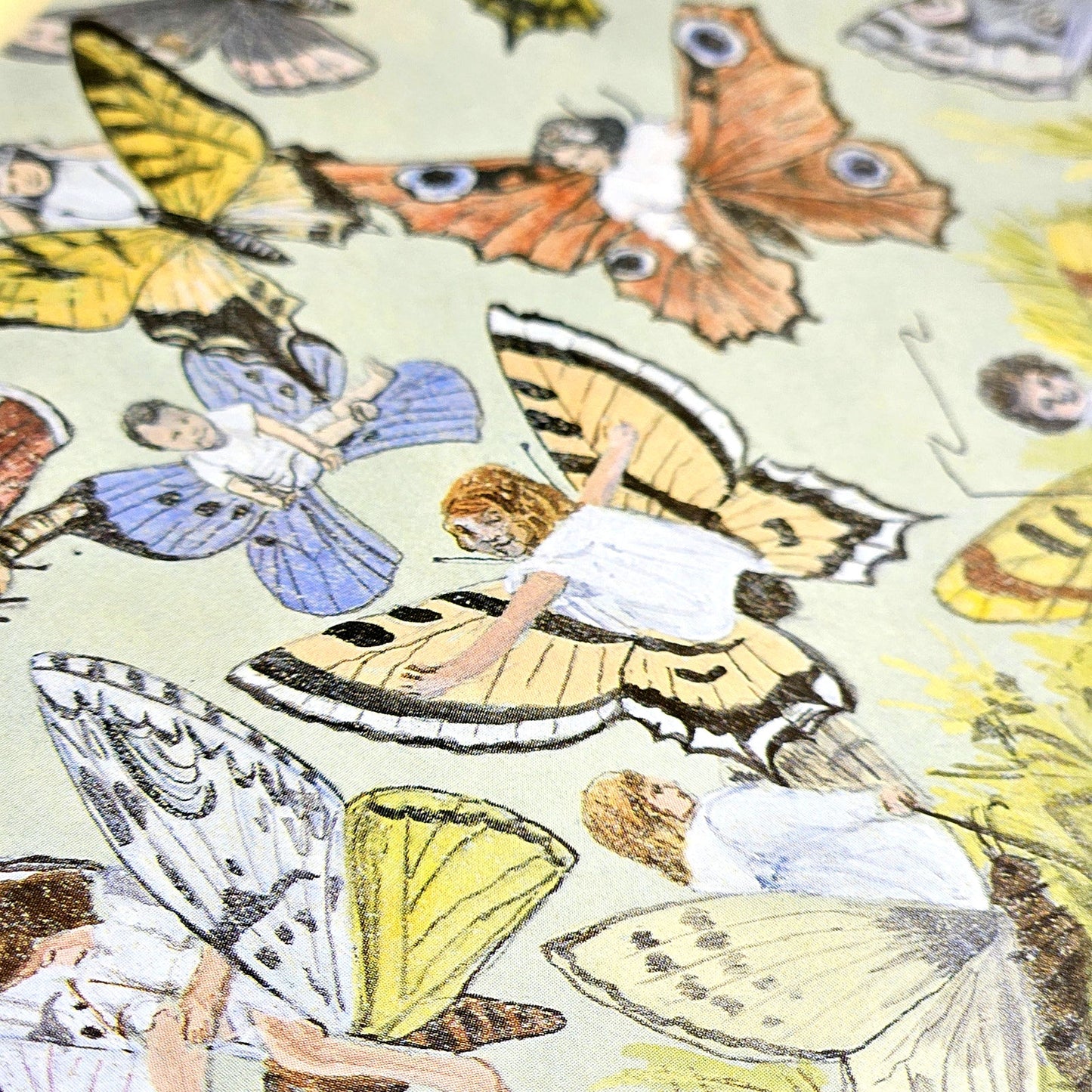 1903 “Butterfly Babes” Framed Fairy Print