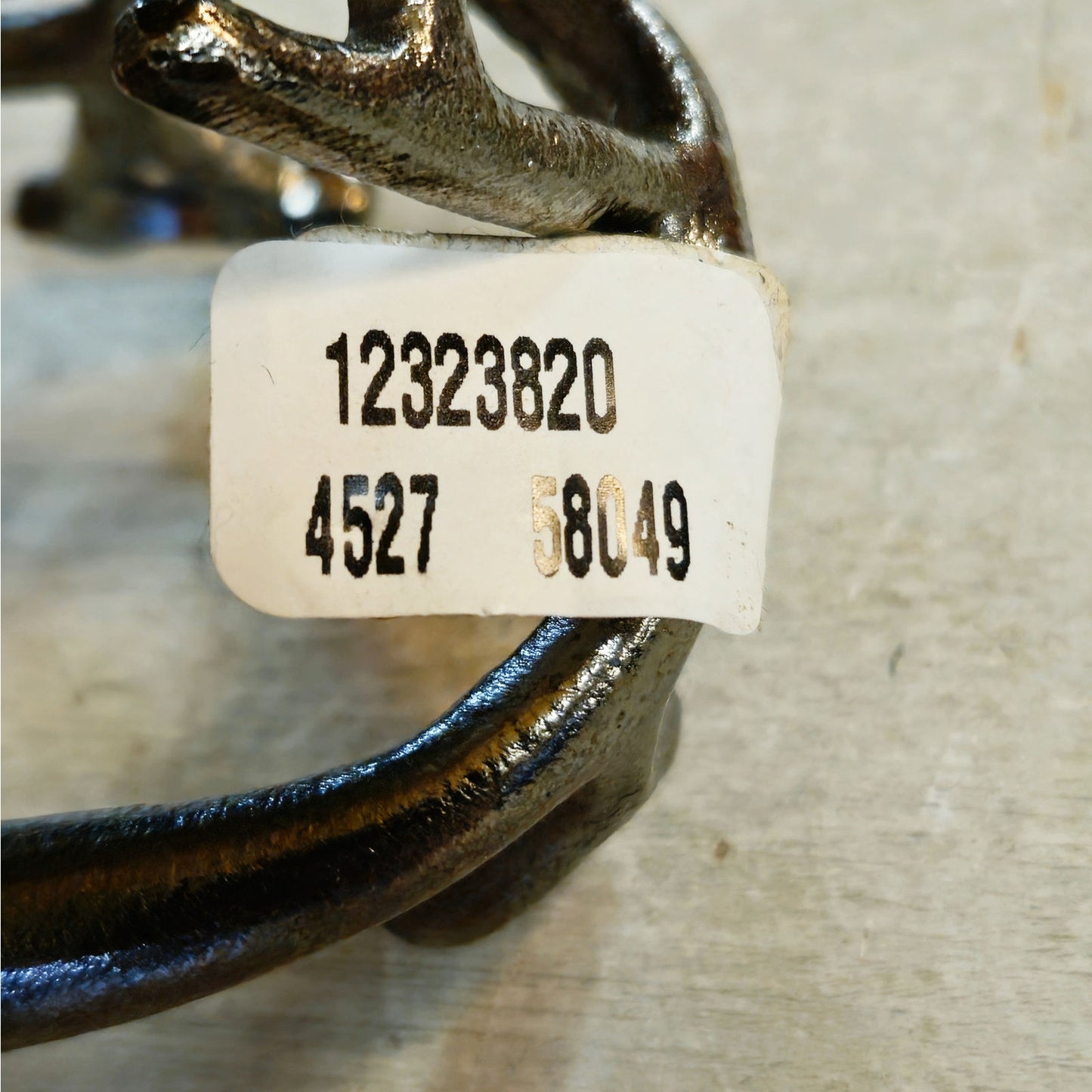 Anthropologie Coral Branch Wall Hook