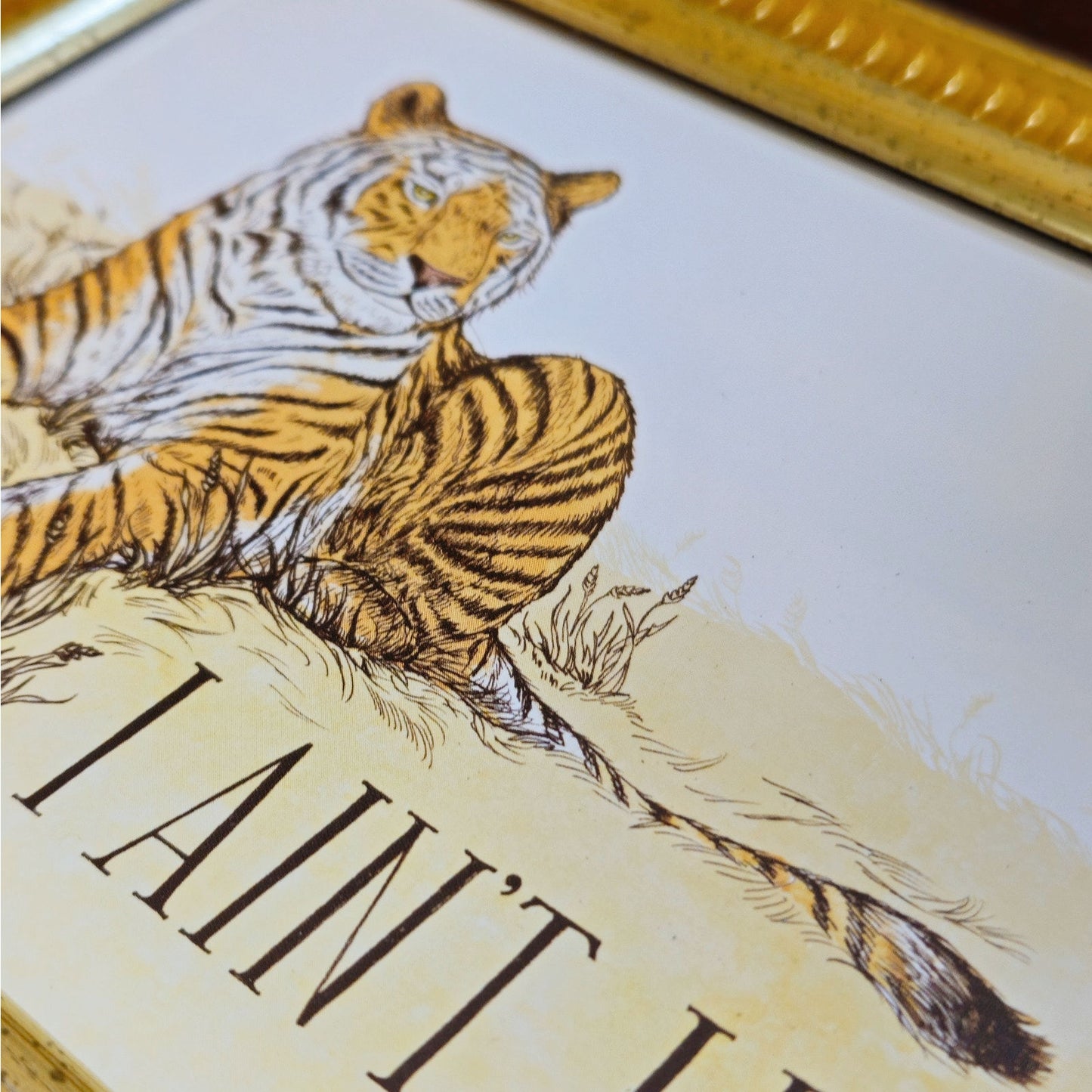 “I Ain’t Lion” Tiger Framed Art Print | Humorous Animal Print in 4x6 Frame