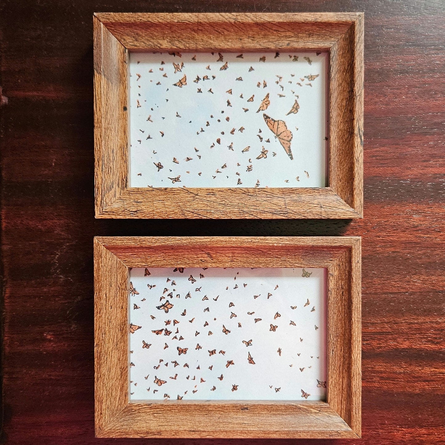 Vintage 1990s Maryjo Koch Monarch Butterflies Prints