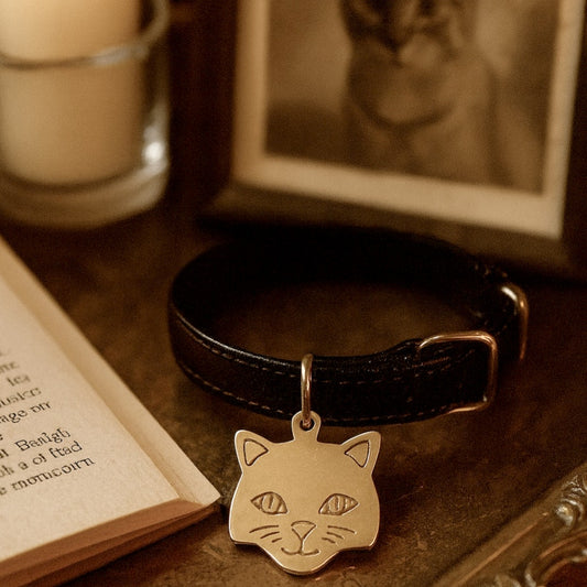 1990s Brass Cat Face Tag with Gift Box – Personalized “Boo-Boo” Pet ID Charm