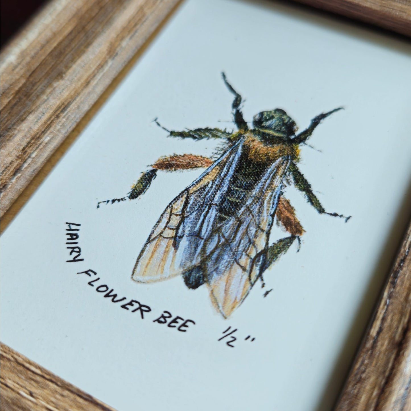 Vintage 1990s Maryjo Koch Hairy Flower Bee Print | Framed Mini Insect Nature Art